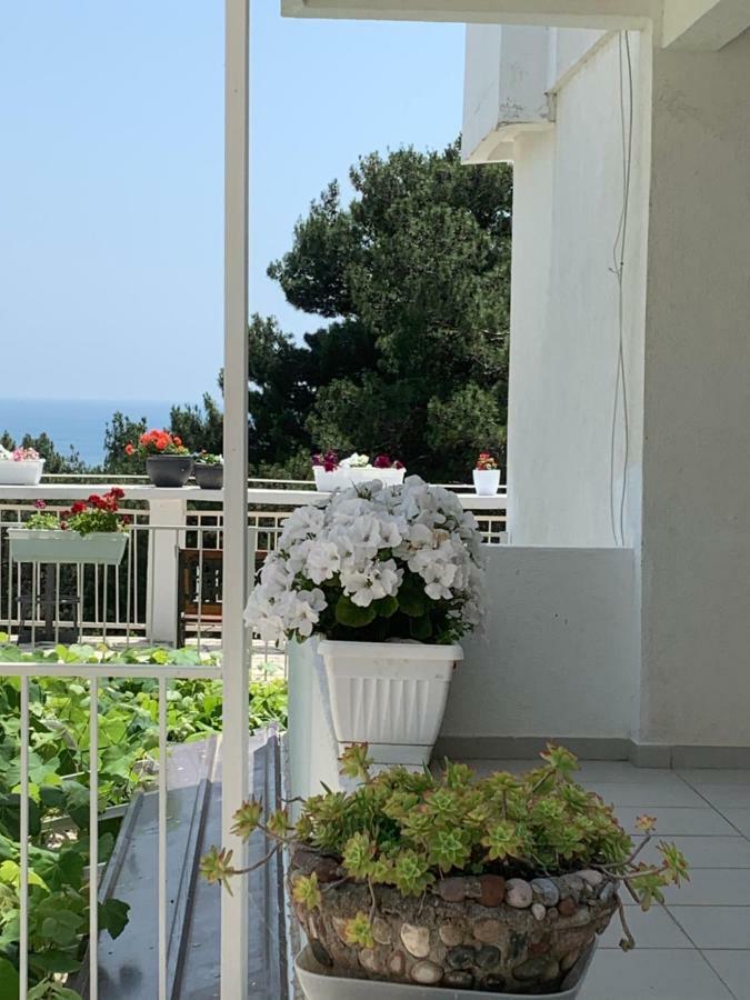 Ljiljana Apartment *